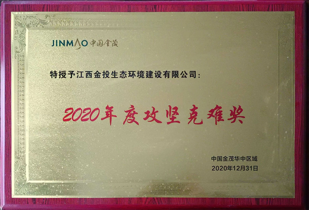 2020年度攻堅(jiān)克難獎(jiǎng)